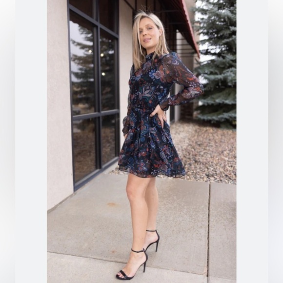 Veronica Beard Bolade Silk Georgette Paisley Tiered Mini dress Size 2 - Picture 3 of 16